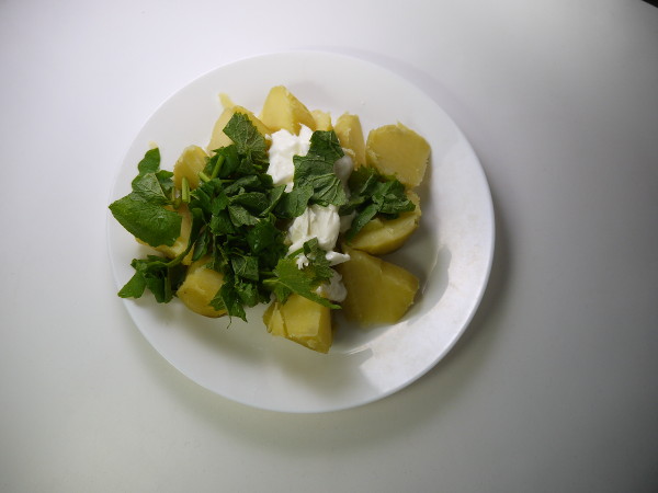 Potatoes with sour cream and fresh Garlic Mustard herbs