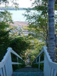 view from cottage on beach