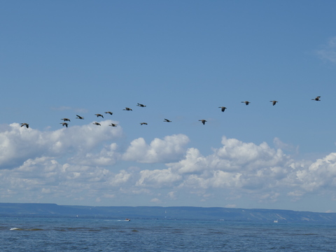 wasaga beach
