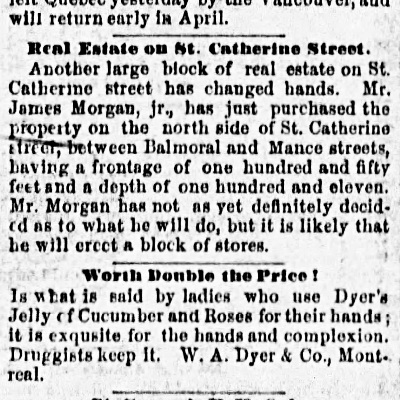 The_Gazette_Fri__Nov_22__1889_real-estate-st-catherine_sq.jpg